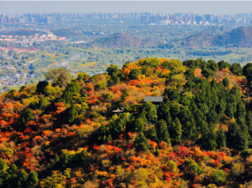 The Xiangshan Park
