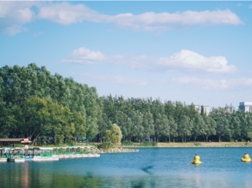 Sun Park