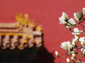 The Working People's Cultural Palace in Beijing
