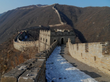 Were Animal Laborers Used in the Construction of the Great Wall