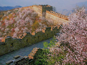 Are There Any Words or Symbols Carved on the Bricks and Stones of the Great Wall