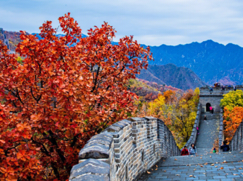 Food around the Great Wall - A Cultural Journey on the Tongue