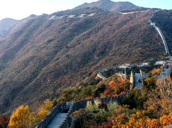 Checking in at the Great Wall - Encountering a Delicious Adventure on the Tongue